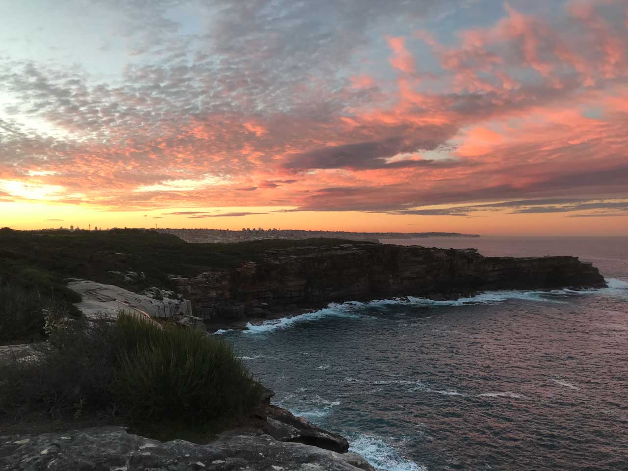 landscape picture of Sydney from the top of the cliffs on the beach on a backdrop of beautiful fluffy clouds in pink, orange, and light blue. I wished you could see this.